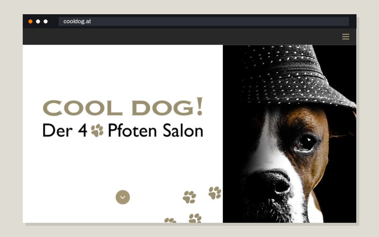 Webseite von Cool Dog